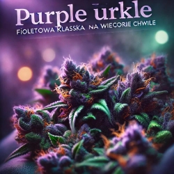 Purple Urkle: Fioletowa Klasyka na Wieczorne Chwile